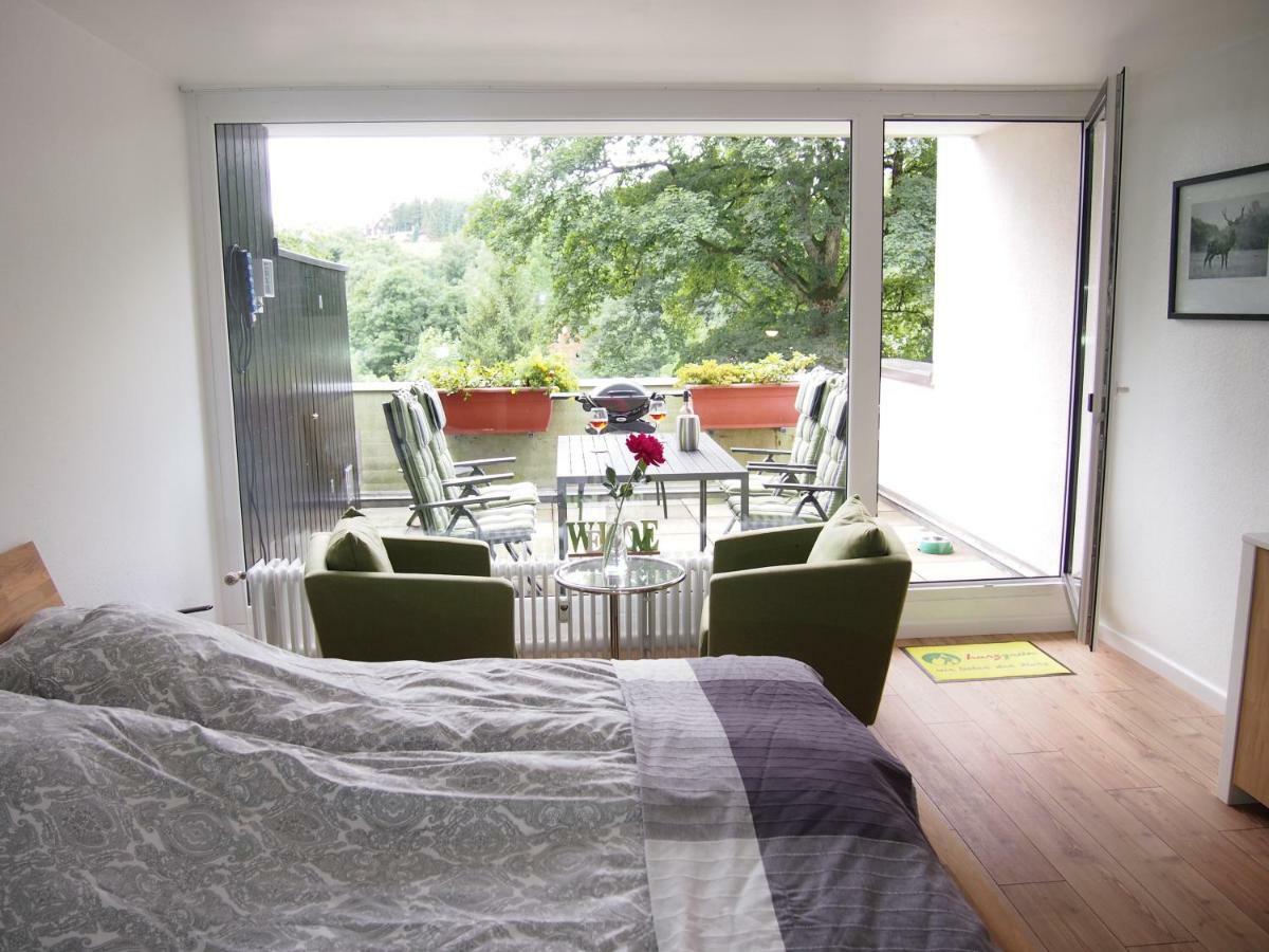 Apartment Harzgruen 2 Sankt-Andreasberg Extérieur photo